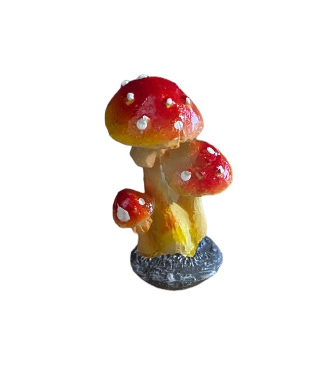 Terrarium | Fairy Garden Accessories