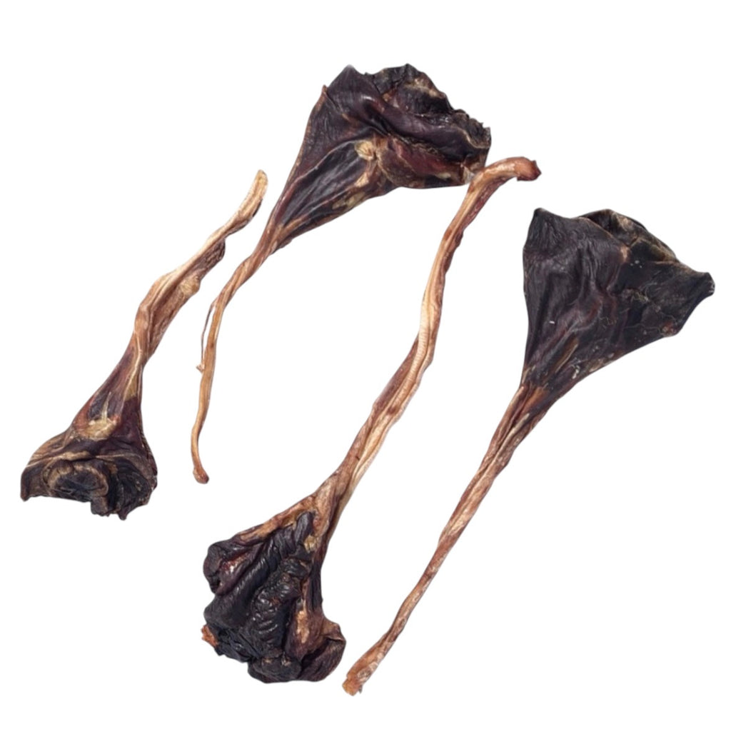 Kangaroo Tendon
