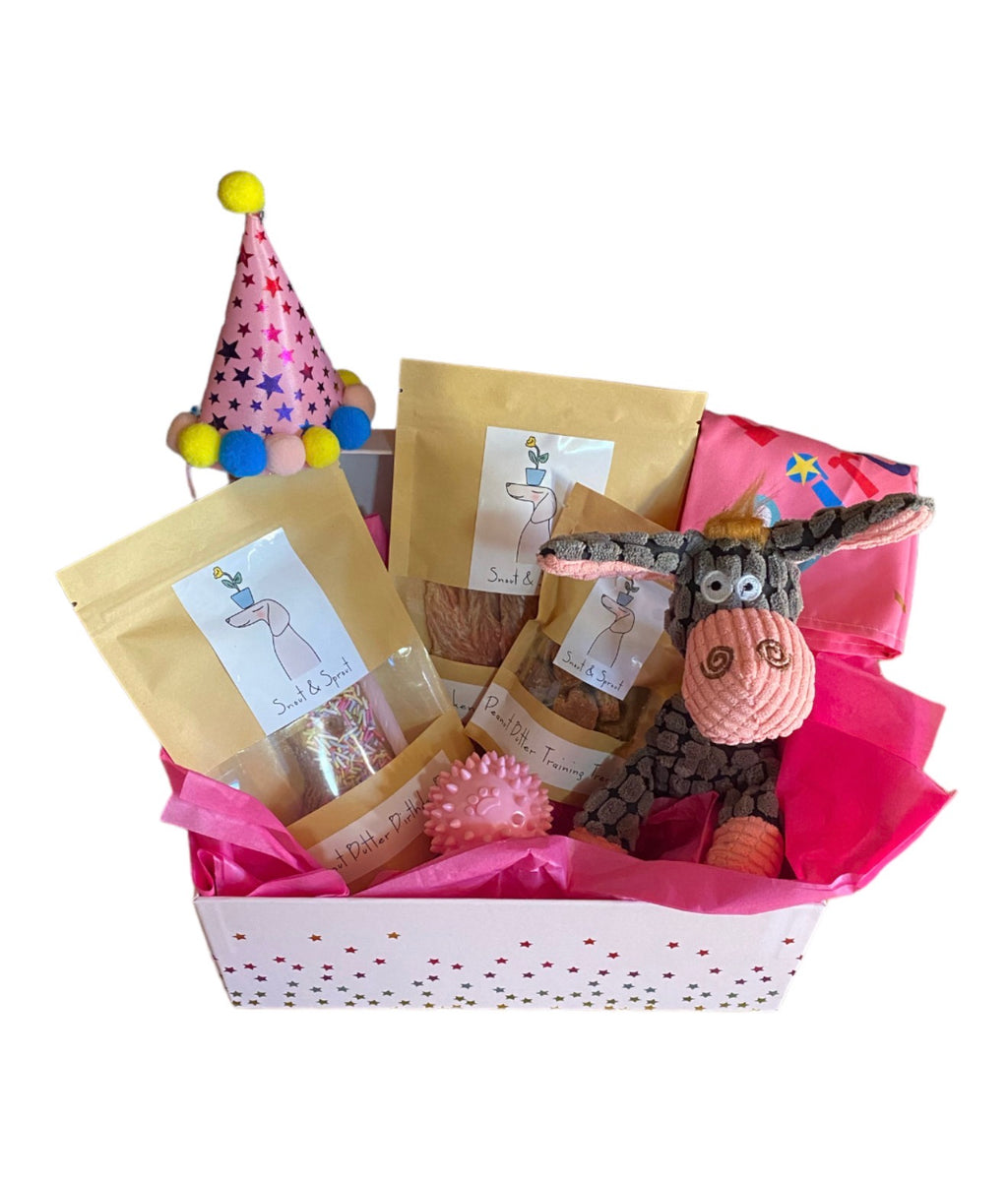 Pooch Birthday Box