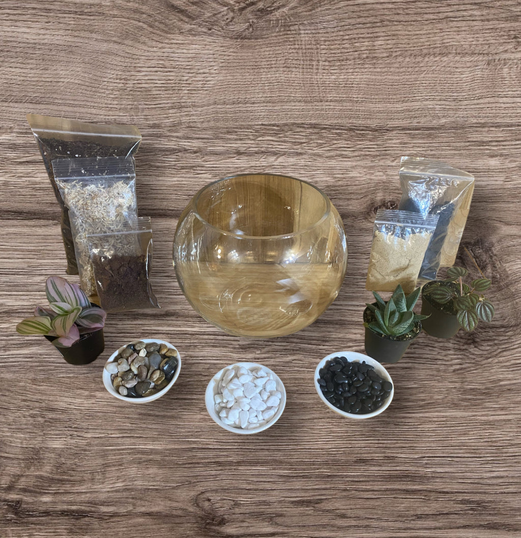 DIY Terrarium Kit (Medium)