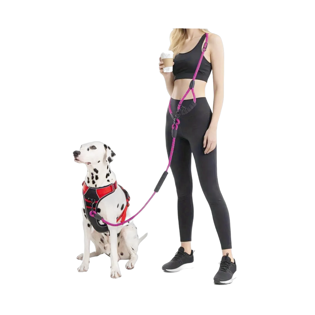 Hands Free Leash
