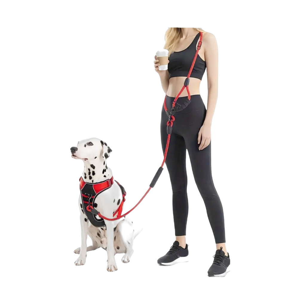 Hands Free Leash