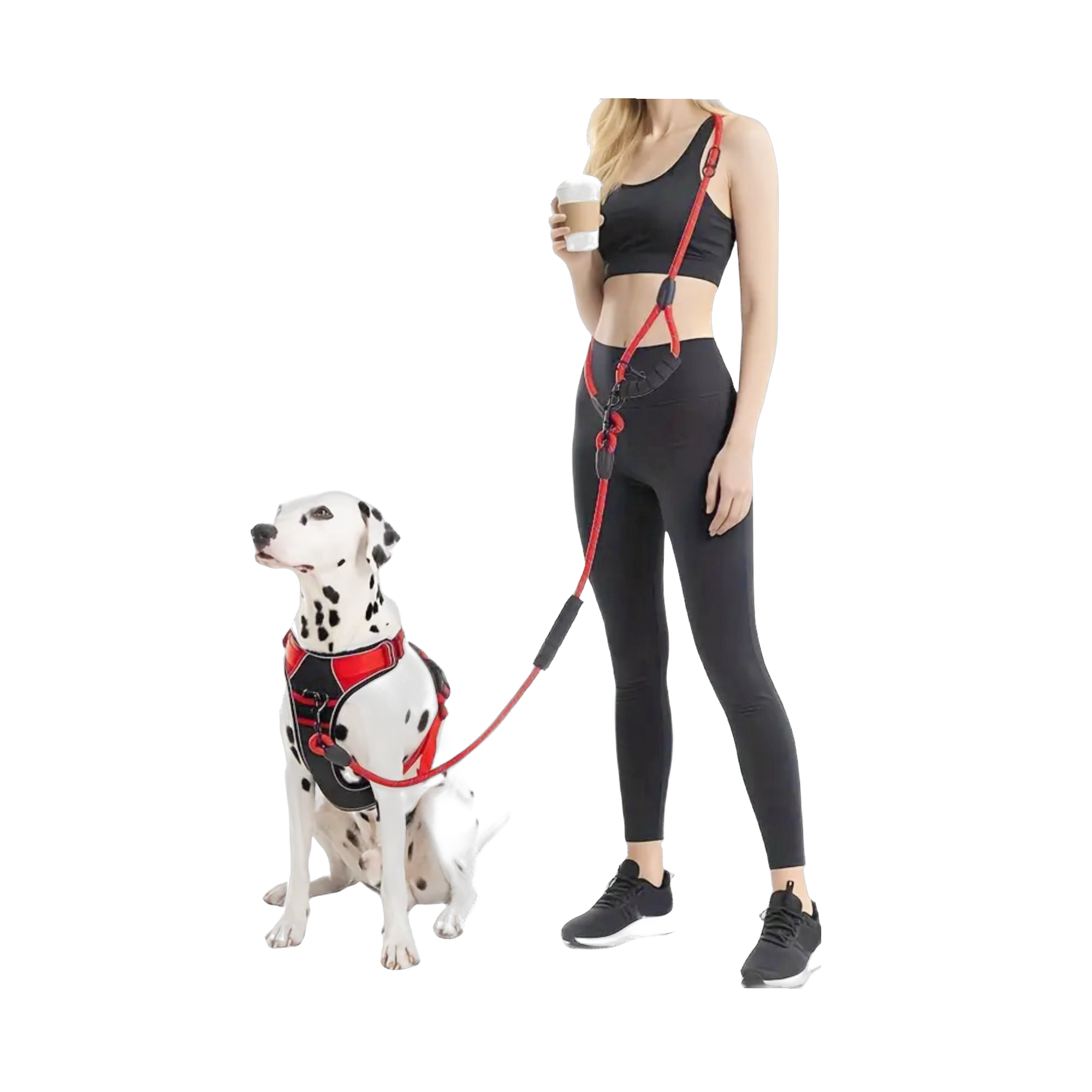 Hands Free Leash