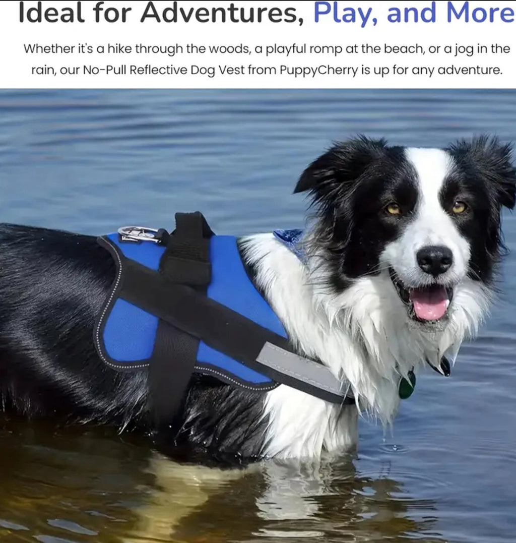 No Pull Harness
