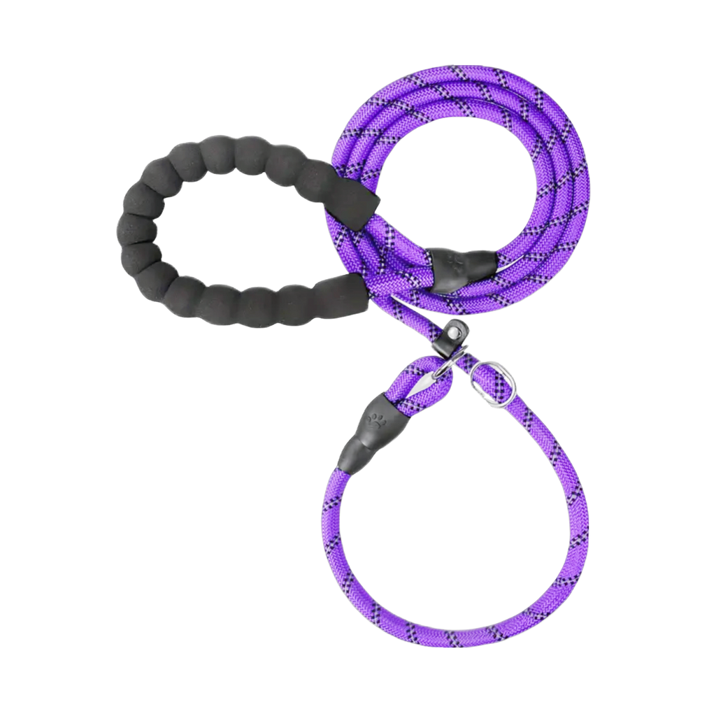 Slip Lead & Collar Combo