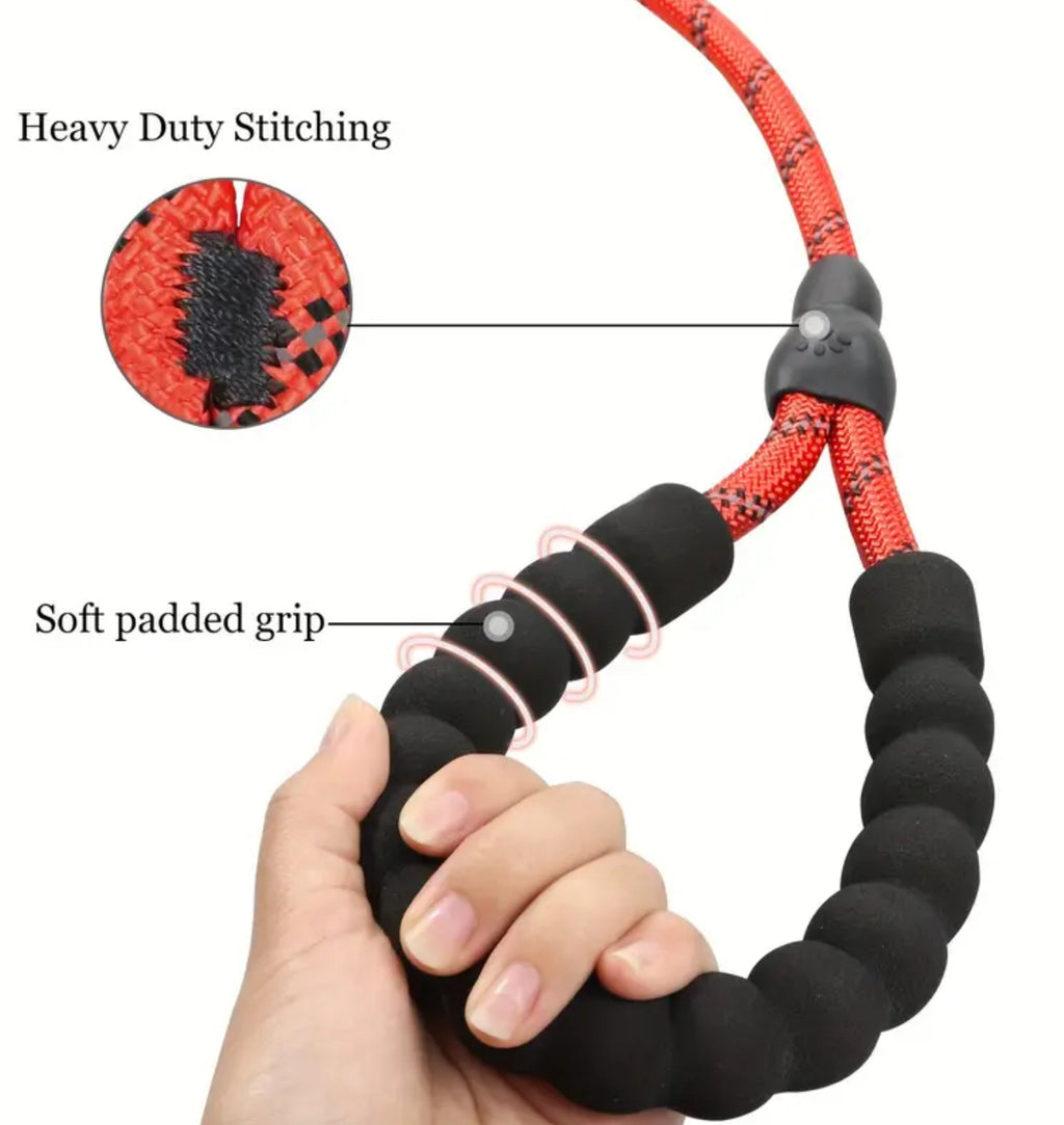 Slip Lead & Collar Combo