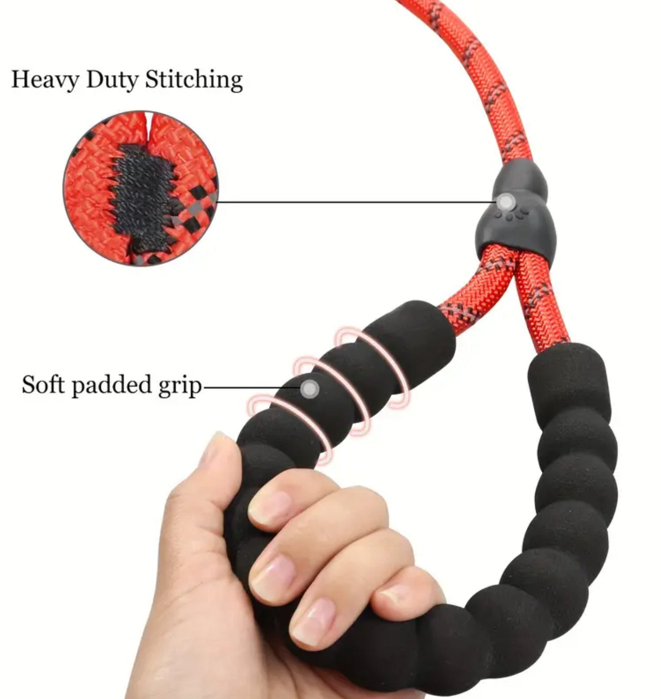 Slip Lead & Collar Combo