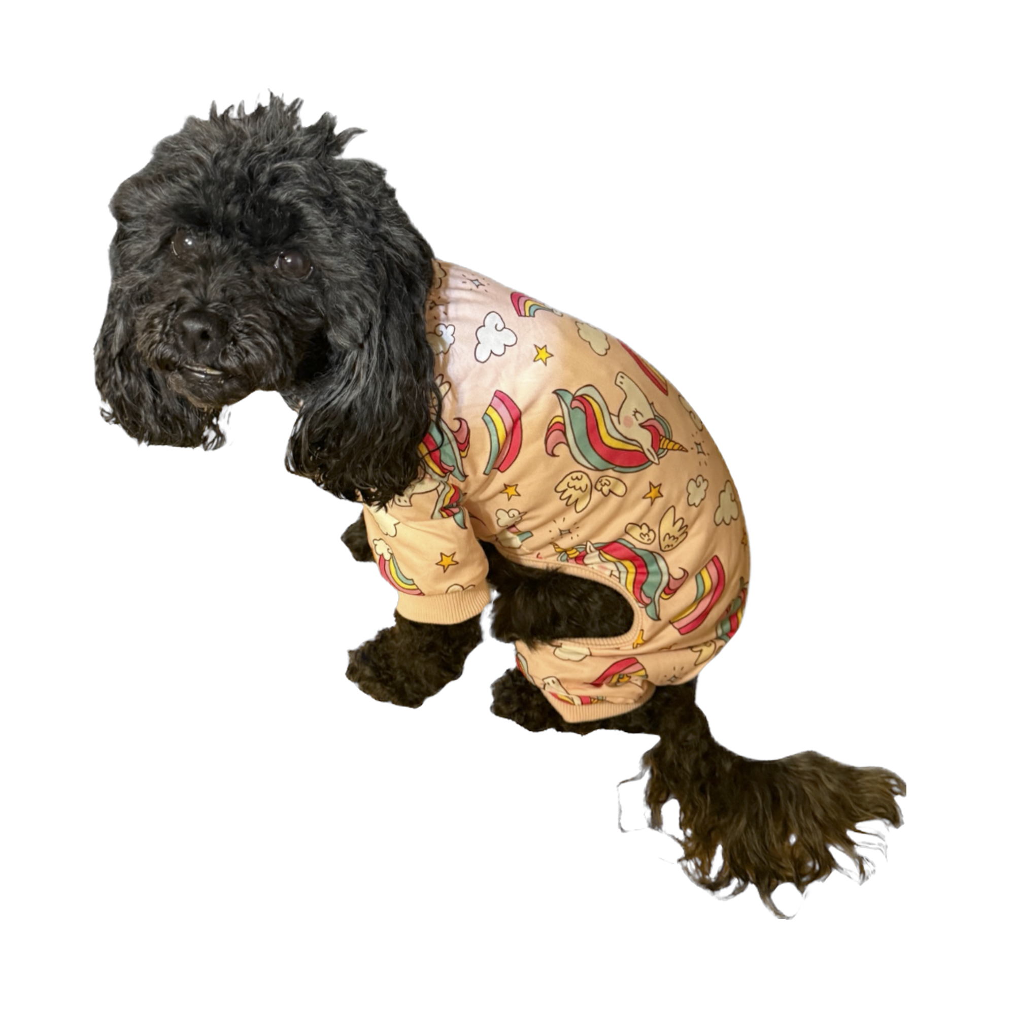 Pet Pajamas