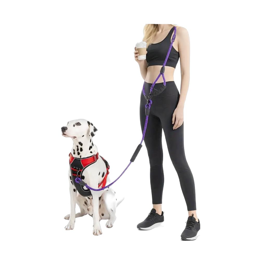 Hands Free Leash