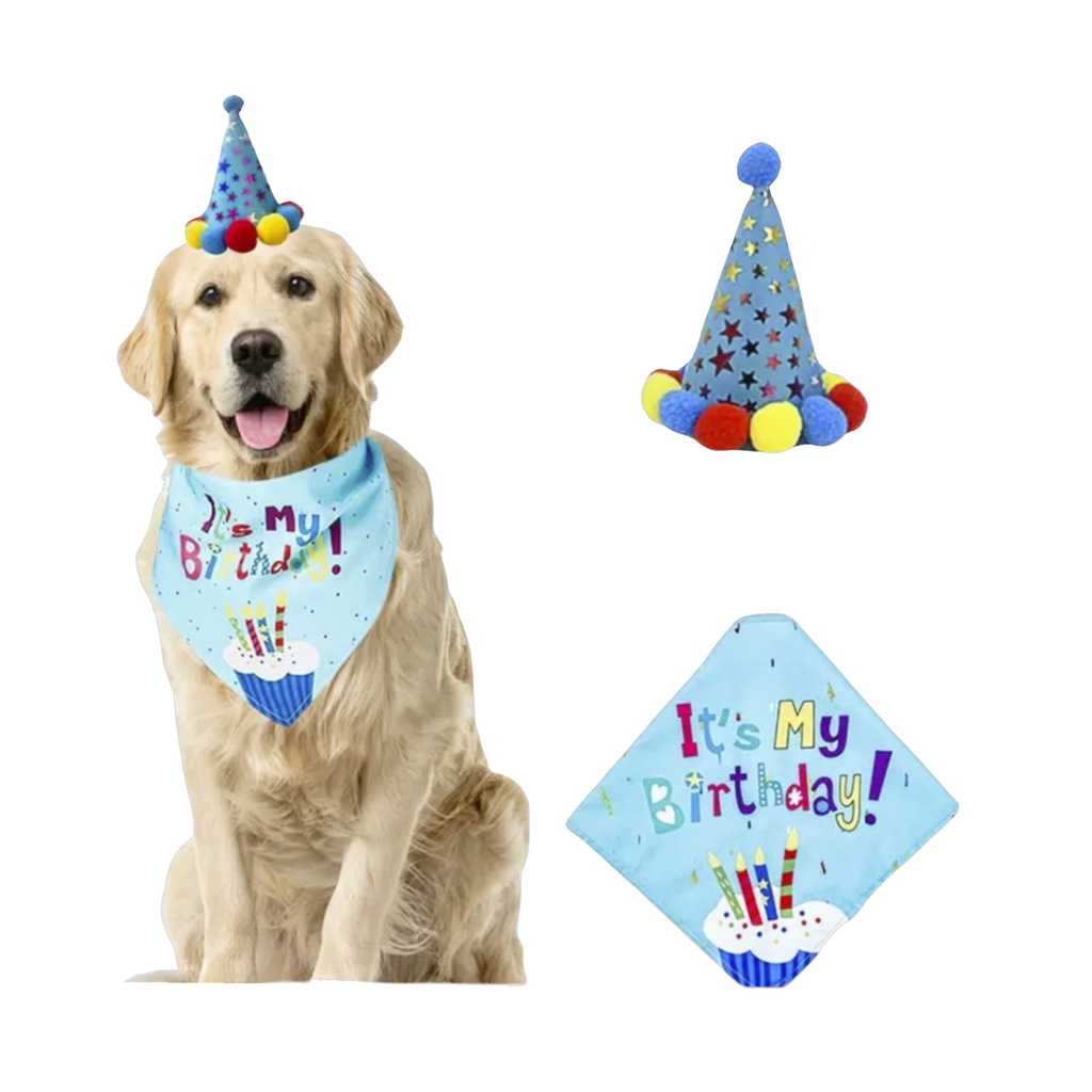 It's My Birthday Bandana & Hat