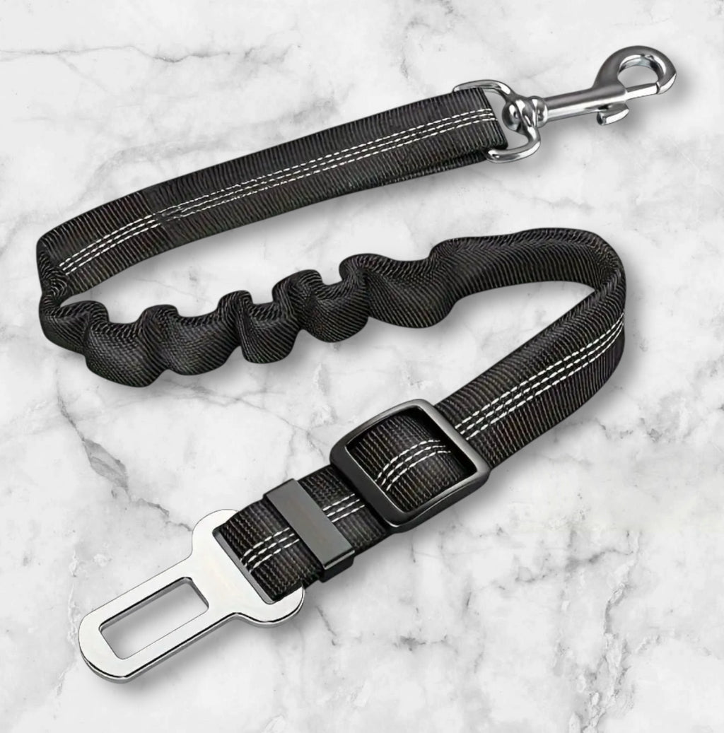 Pet Safety Seat Belt