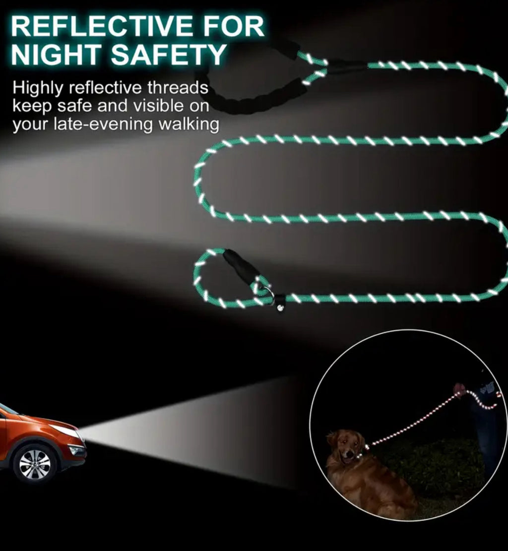 Slip Lead & Collar Combo