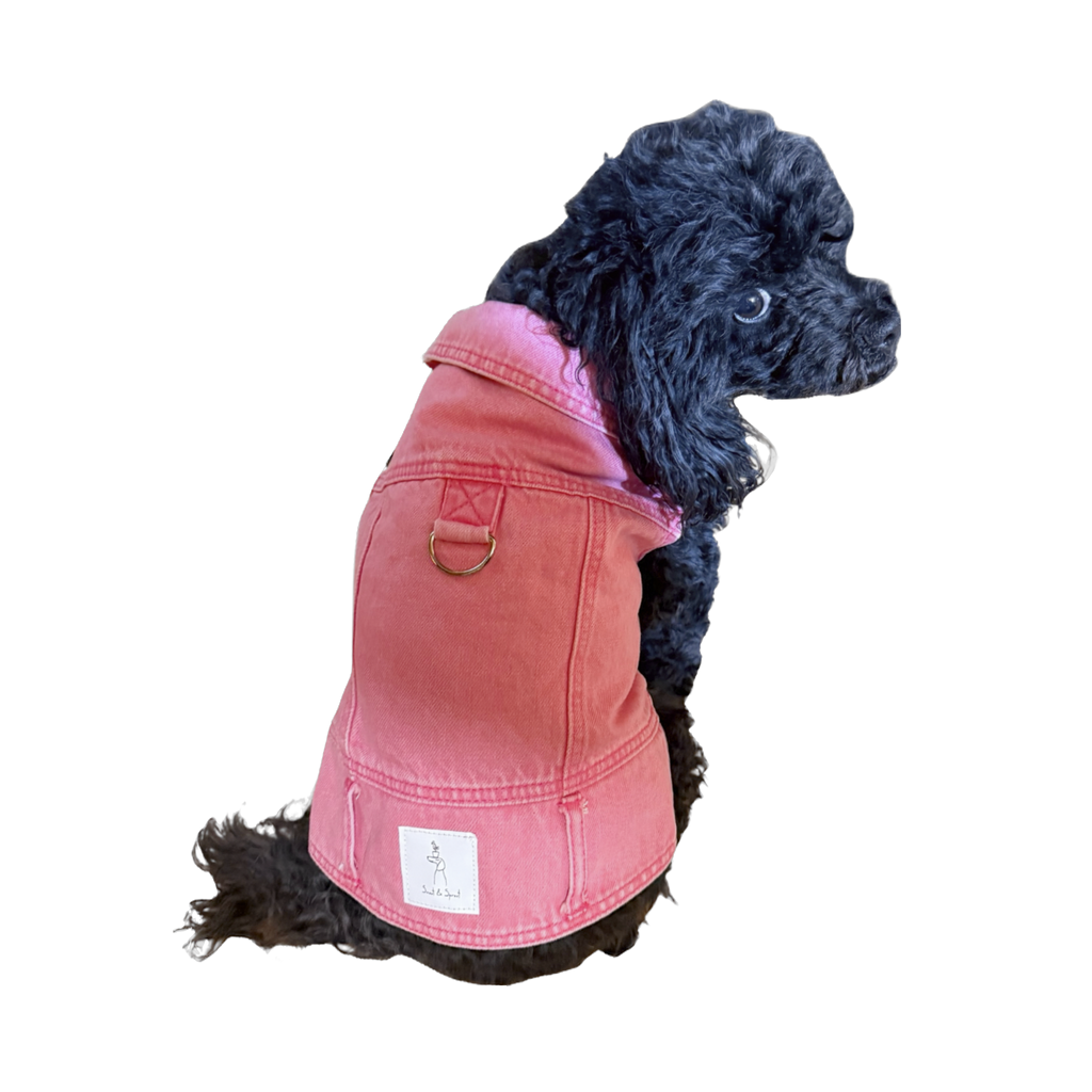Denim Jacket with Harness
