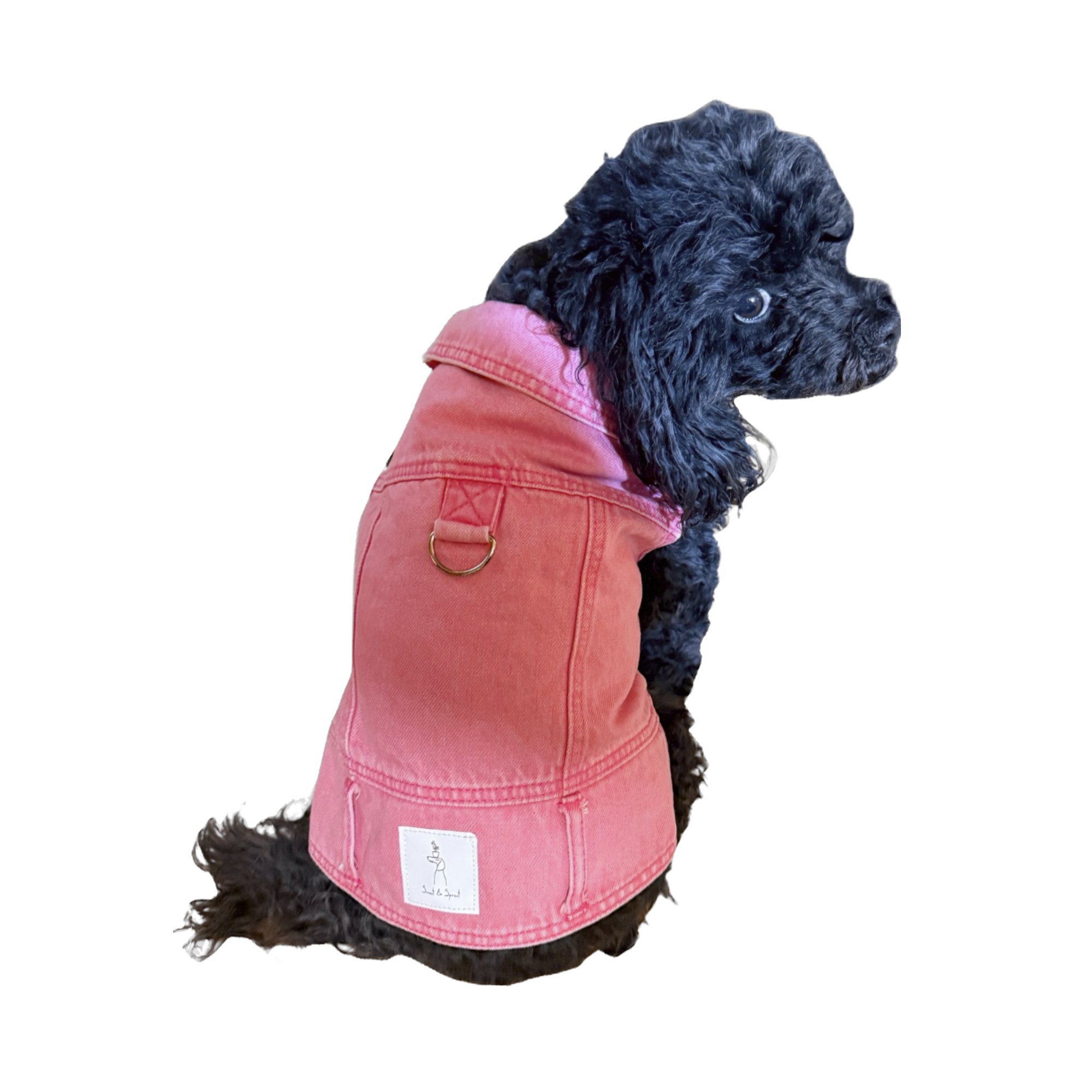 Denim Jacket with Harness