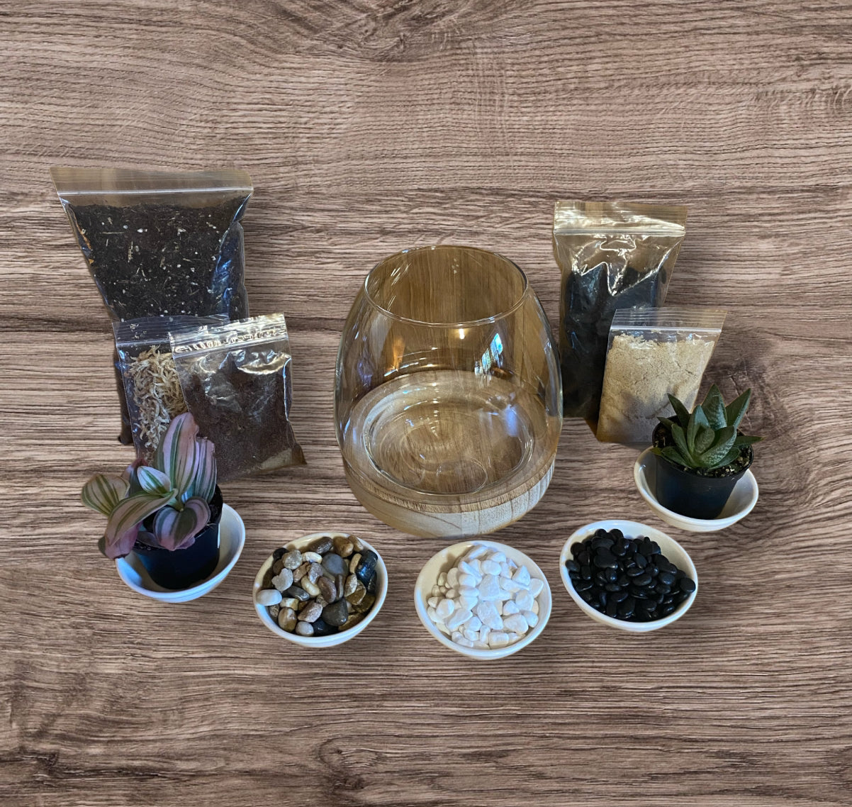 DIY Terrarium Kit (Small)