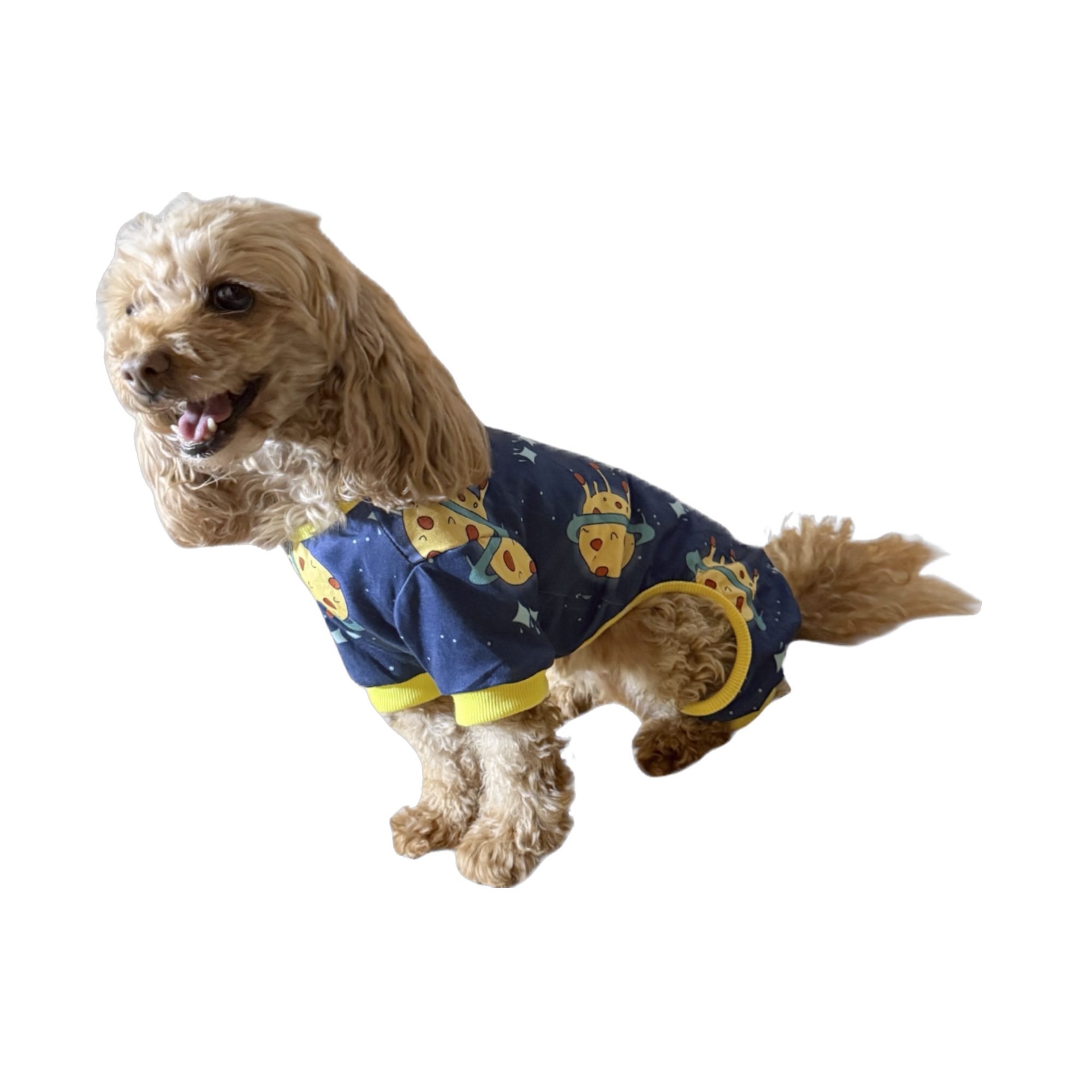 Pet Pajamas