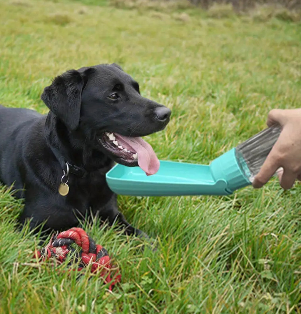 Pet Travel Water Bottle