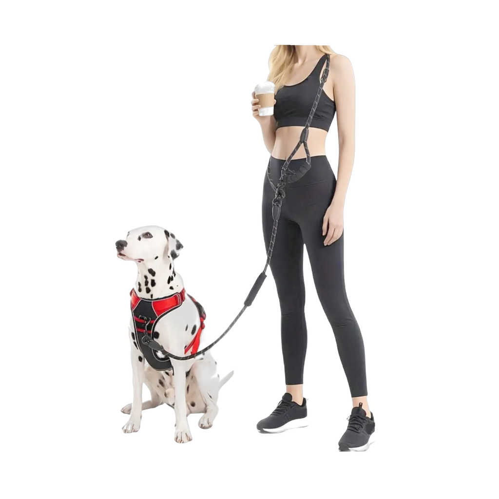 Hands Free Leash