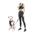 Hands Free Leash