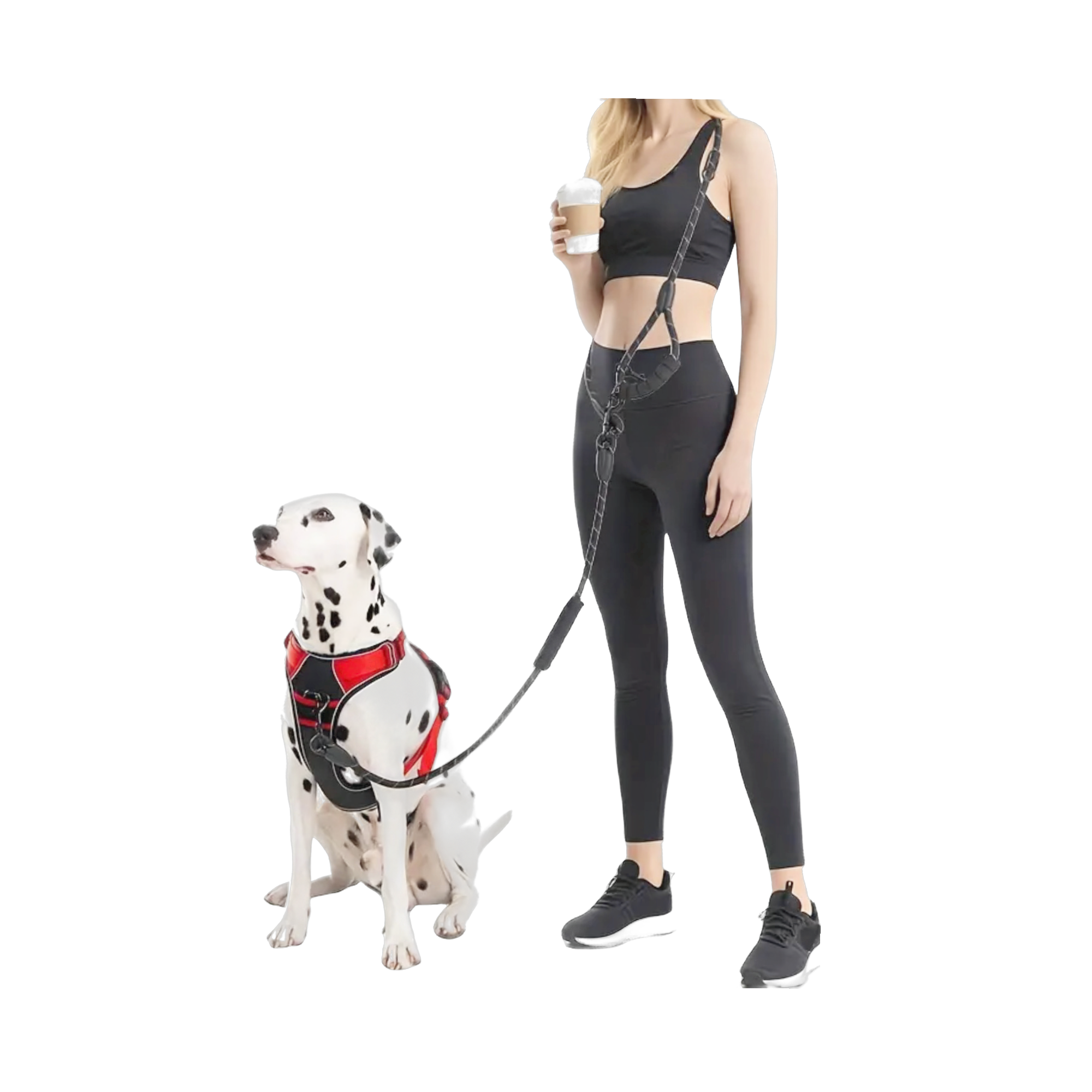Hands Free Leash