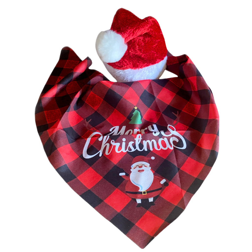 Christmas Santa Hat & Bandana Scarf