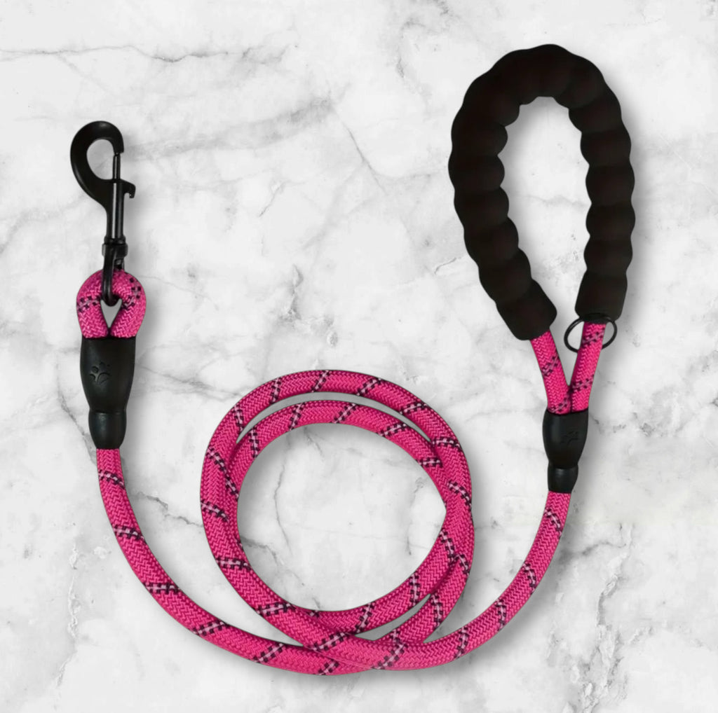 Reflective Pooch Lead