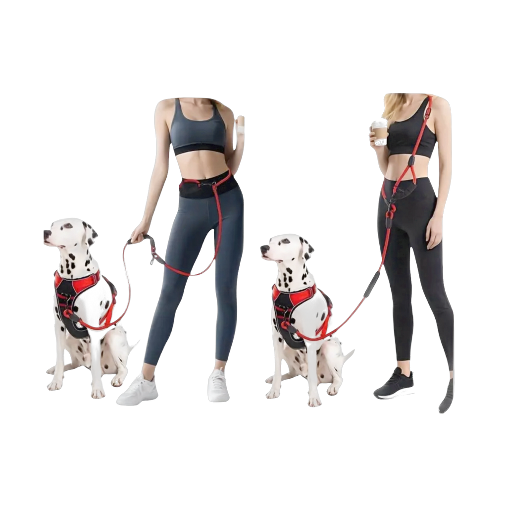 Hands Free Leash