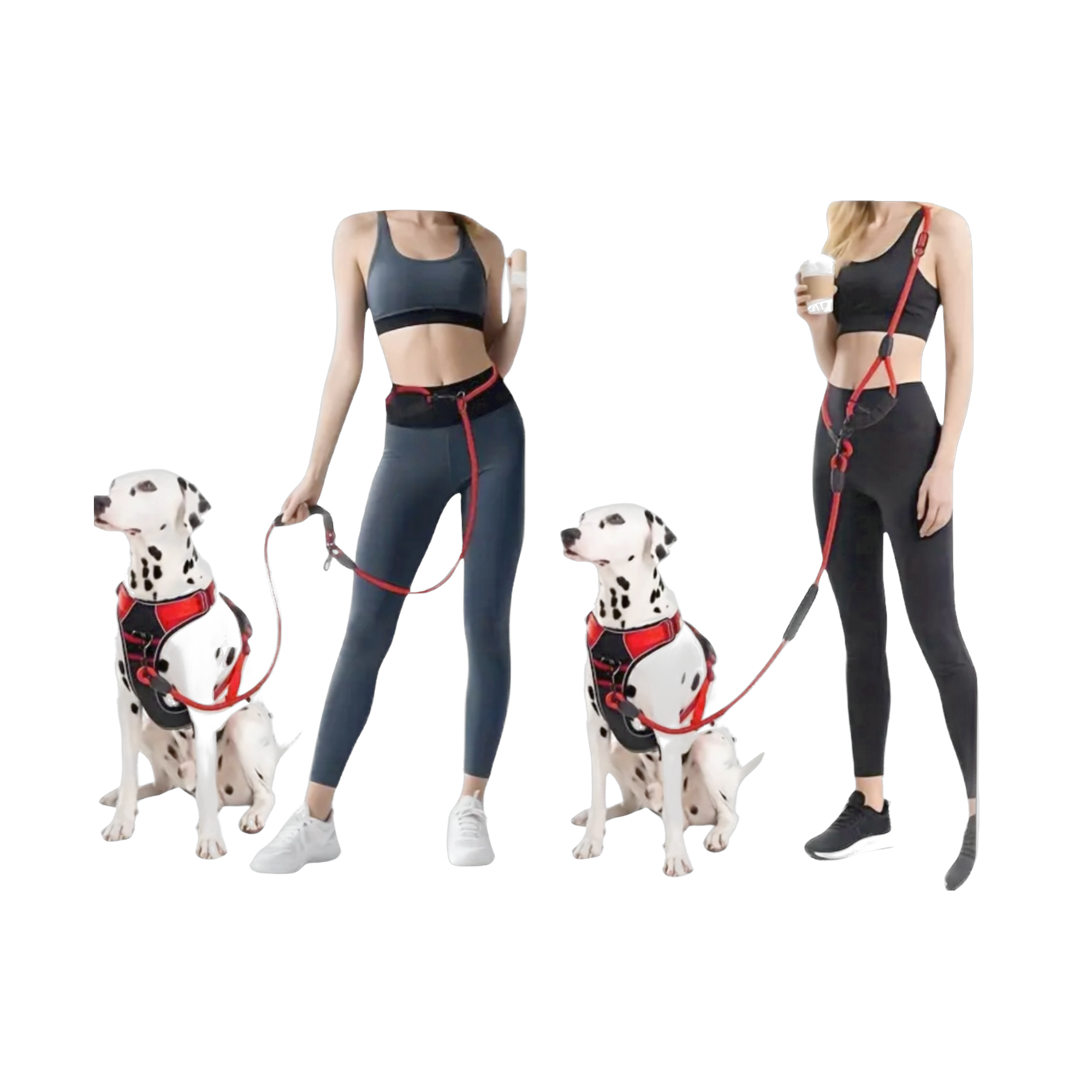 Hands Free Leash