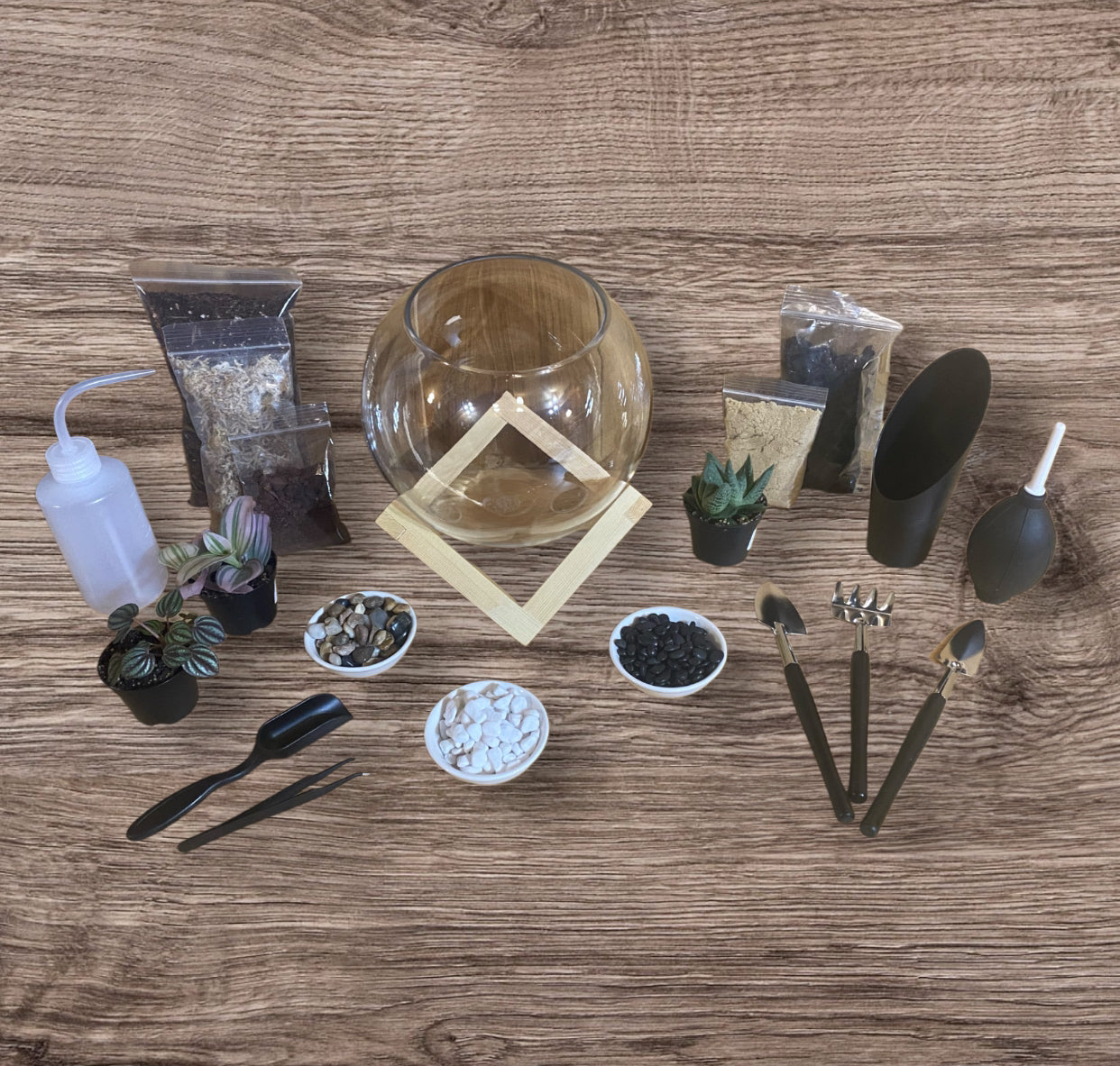 DIY Terrarium Kit (Medium)