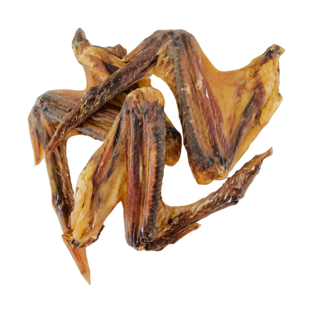 Duck Wings