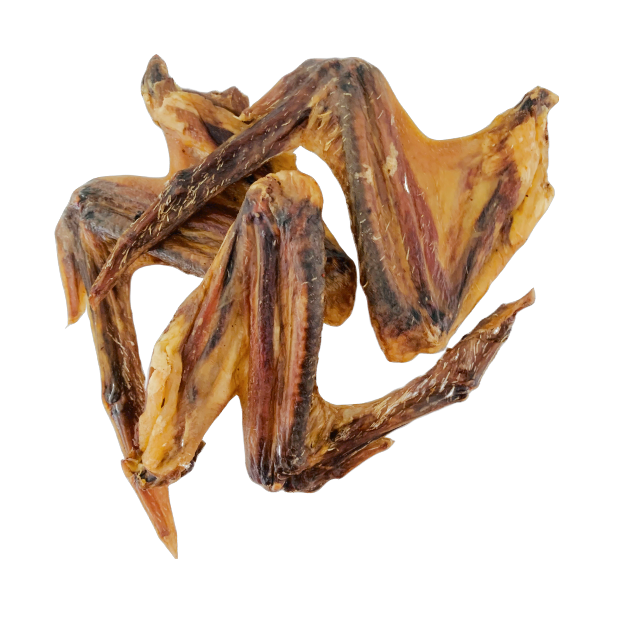 Duck Wings