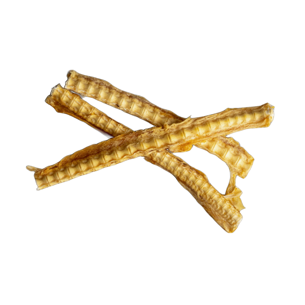 Shark Cartilage