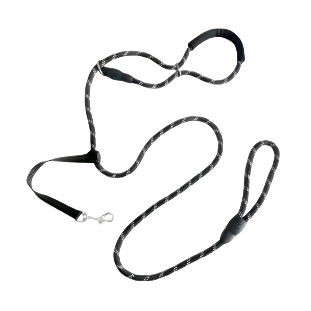 Halti Lead