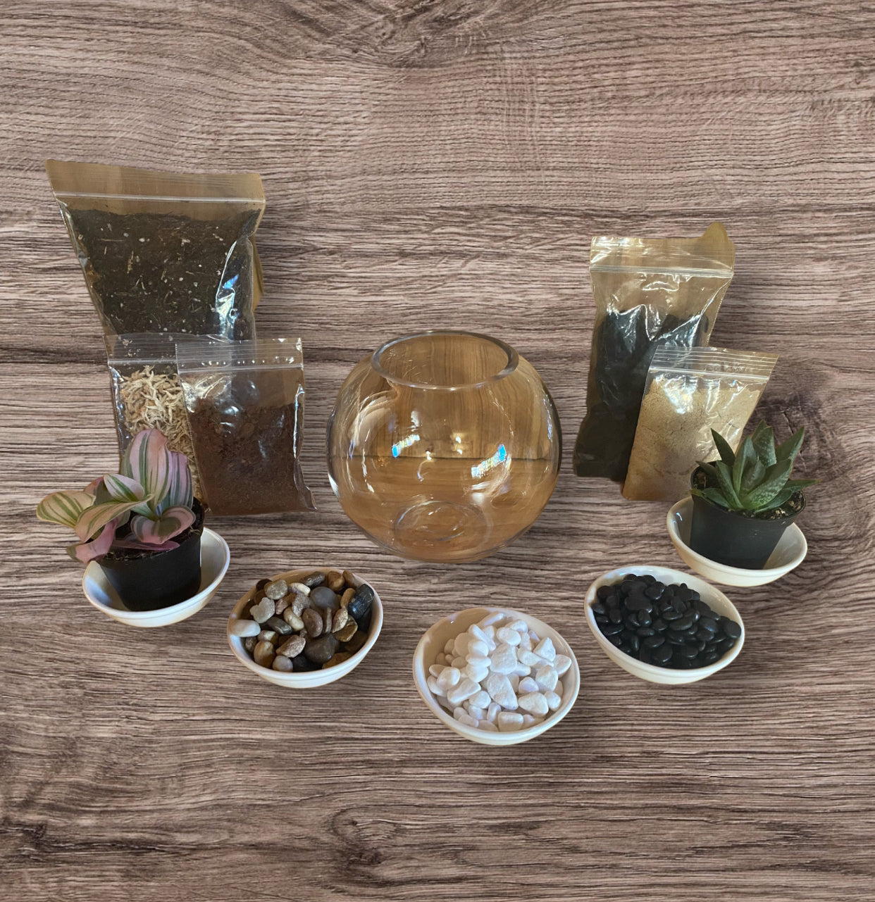 DIY Terrarium Kit (Small)