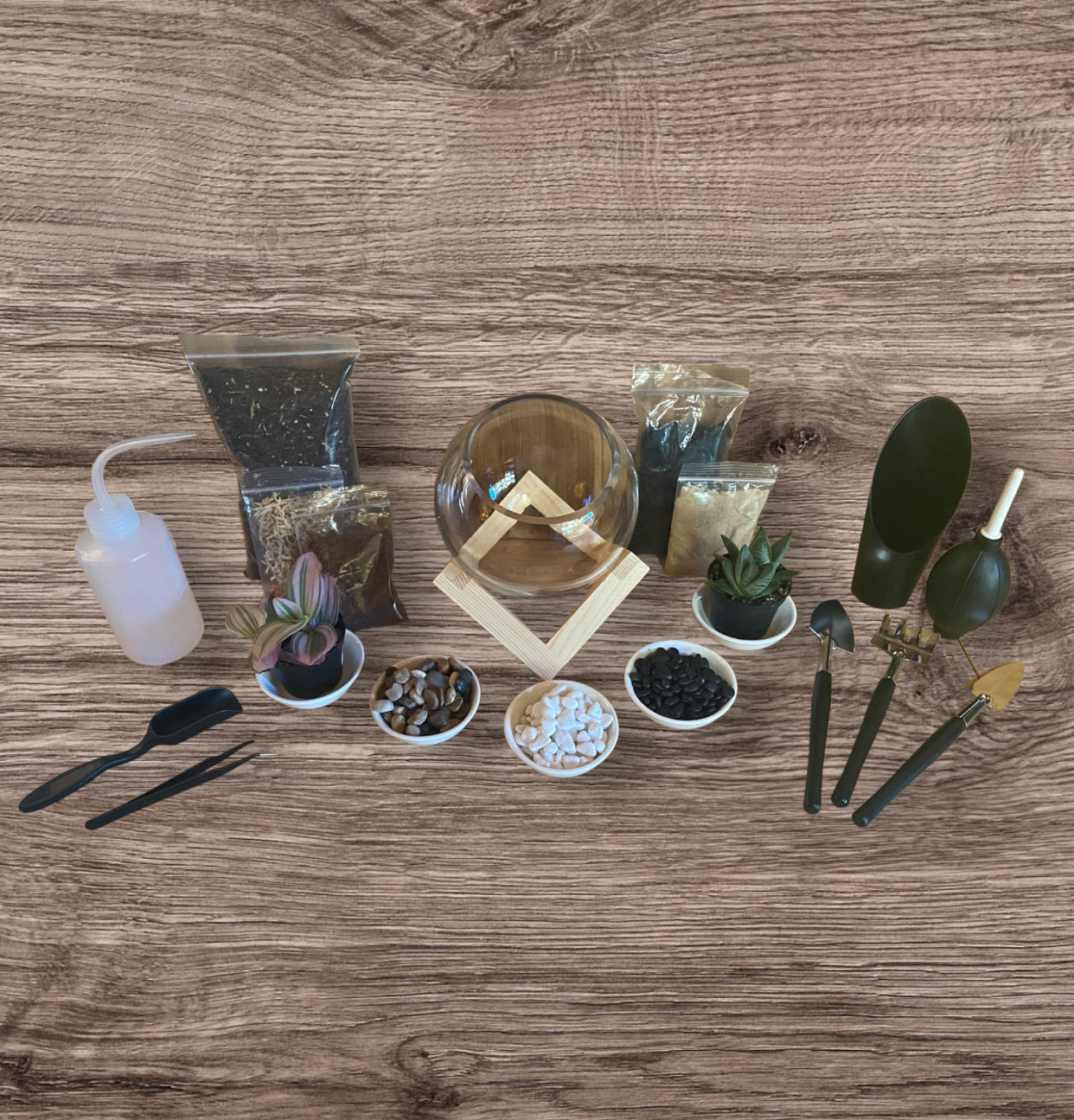 DIY Terrarium Kit (Small)