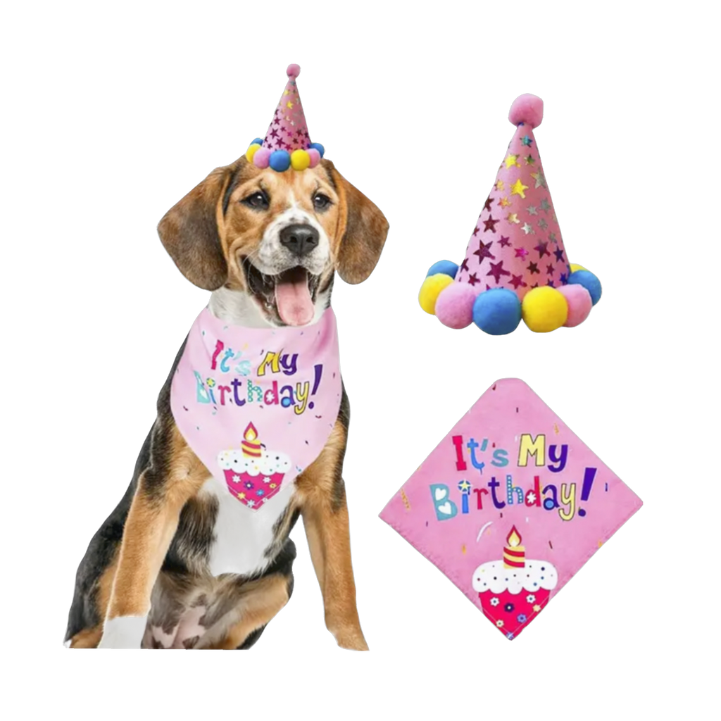 It's My Birthday Bandana & Hat