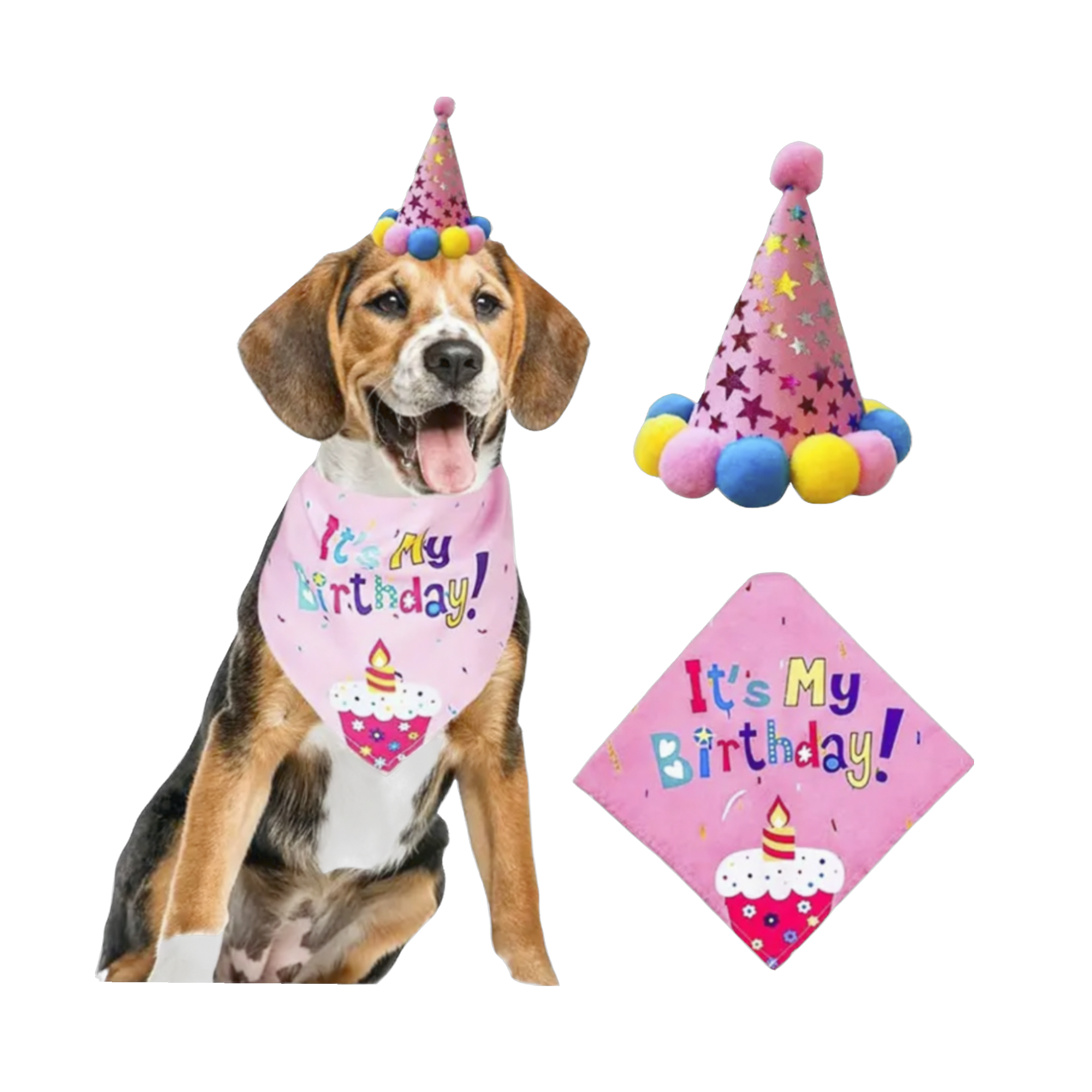 It's My Birthday Bandana & Hat