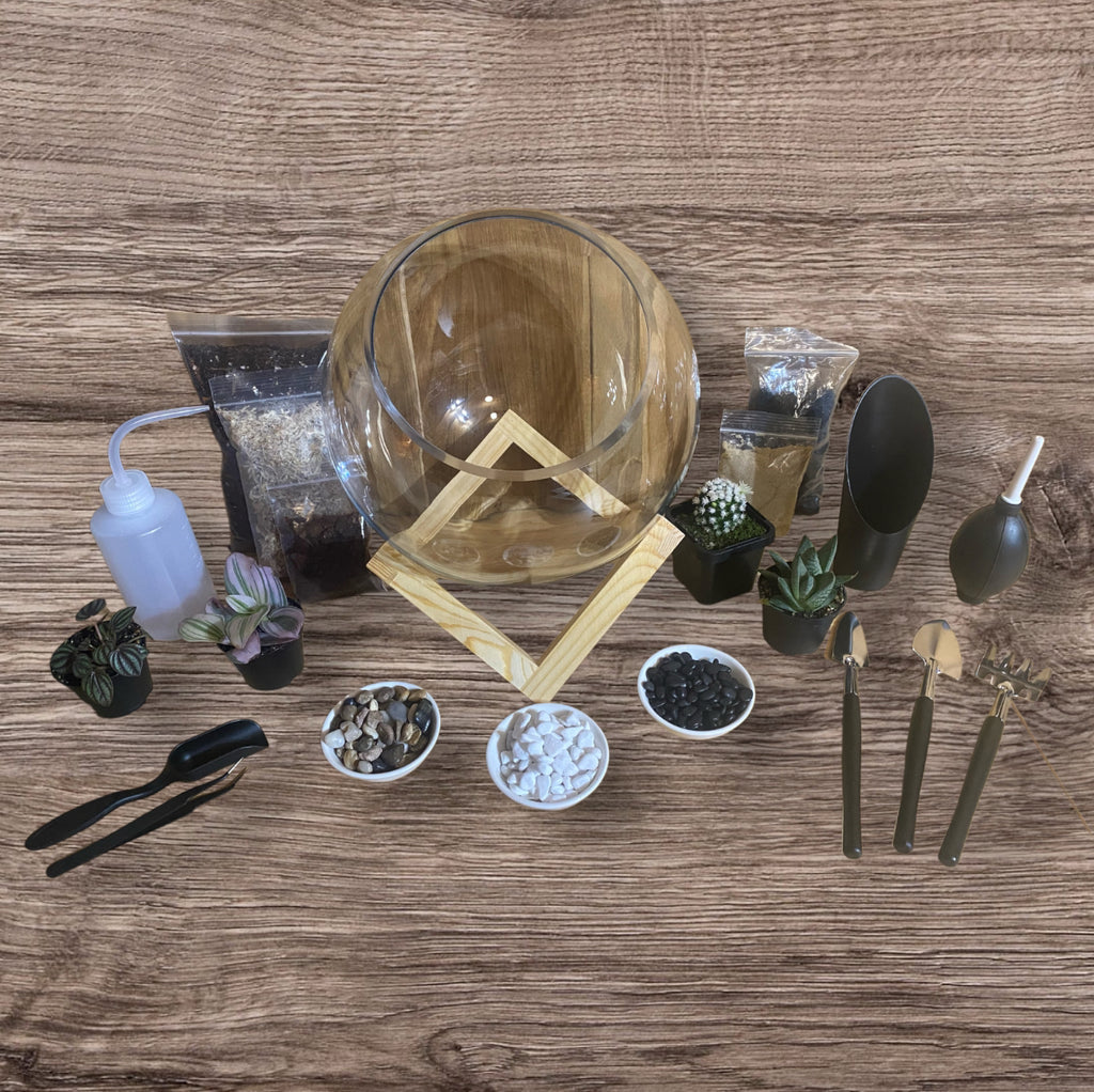 DIY Terrarium Kit (Large)