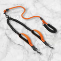 Leash + Tangle Free Split Lead