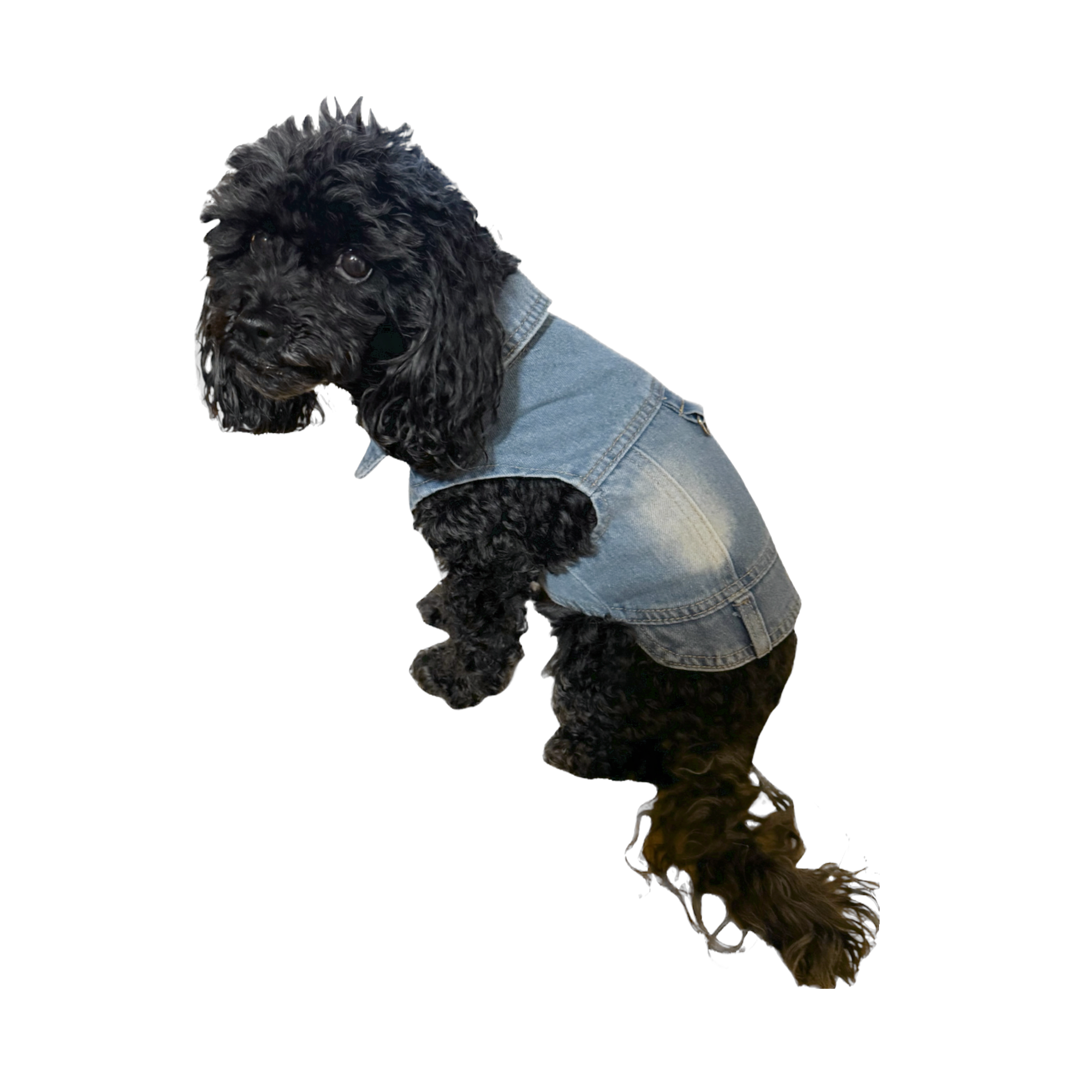 Denim Jacket with Harness