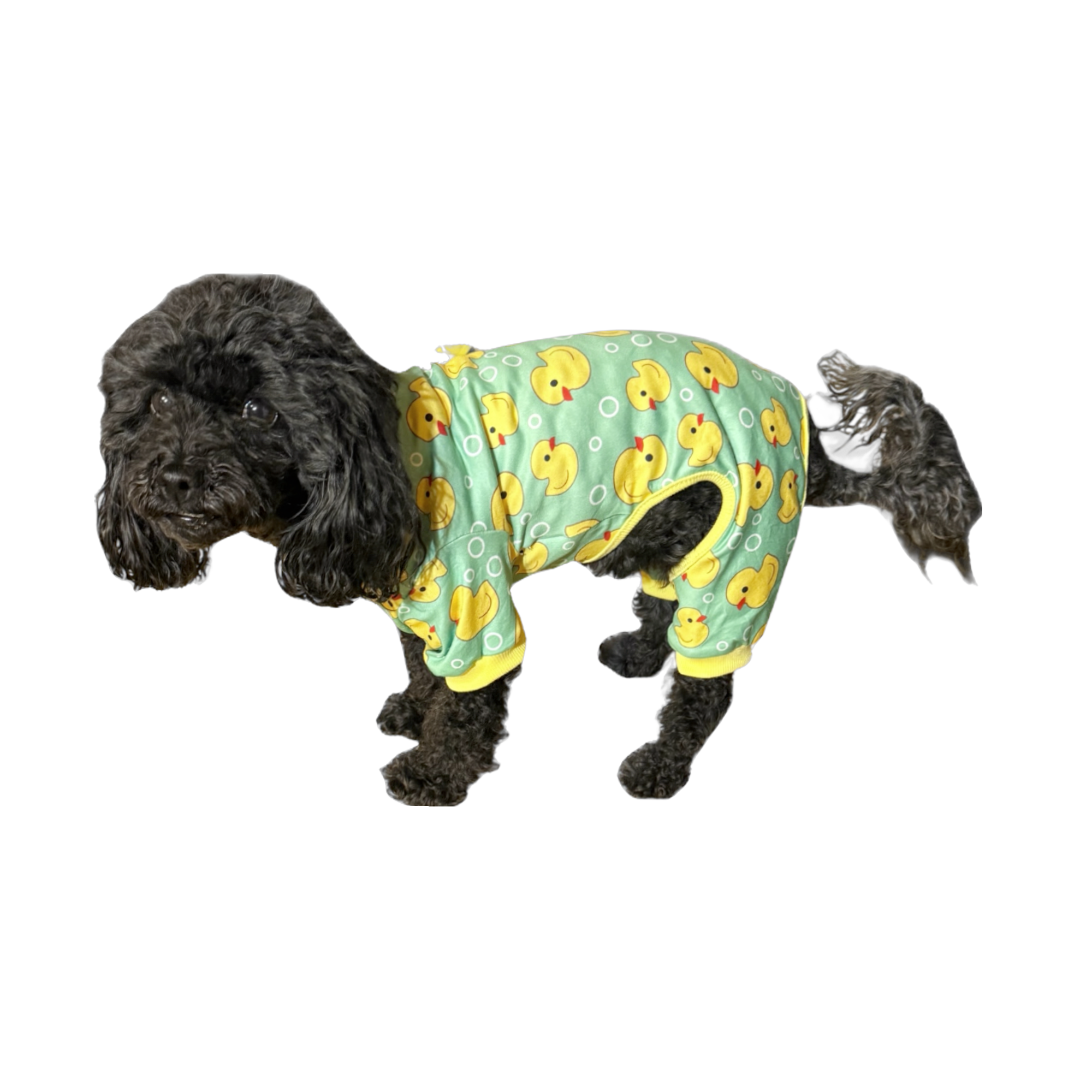 Pet Pajamas