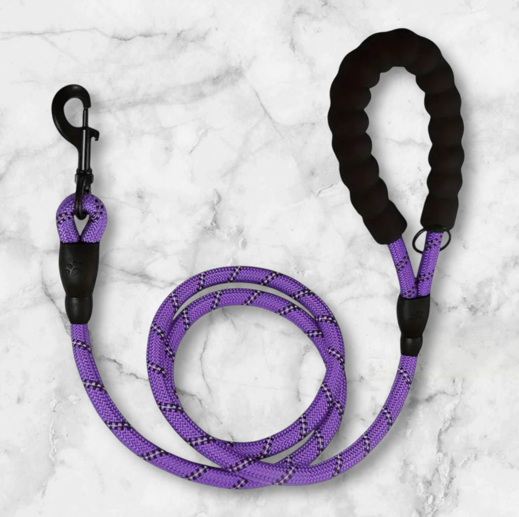 Reflective Pooch Lead