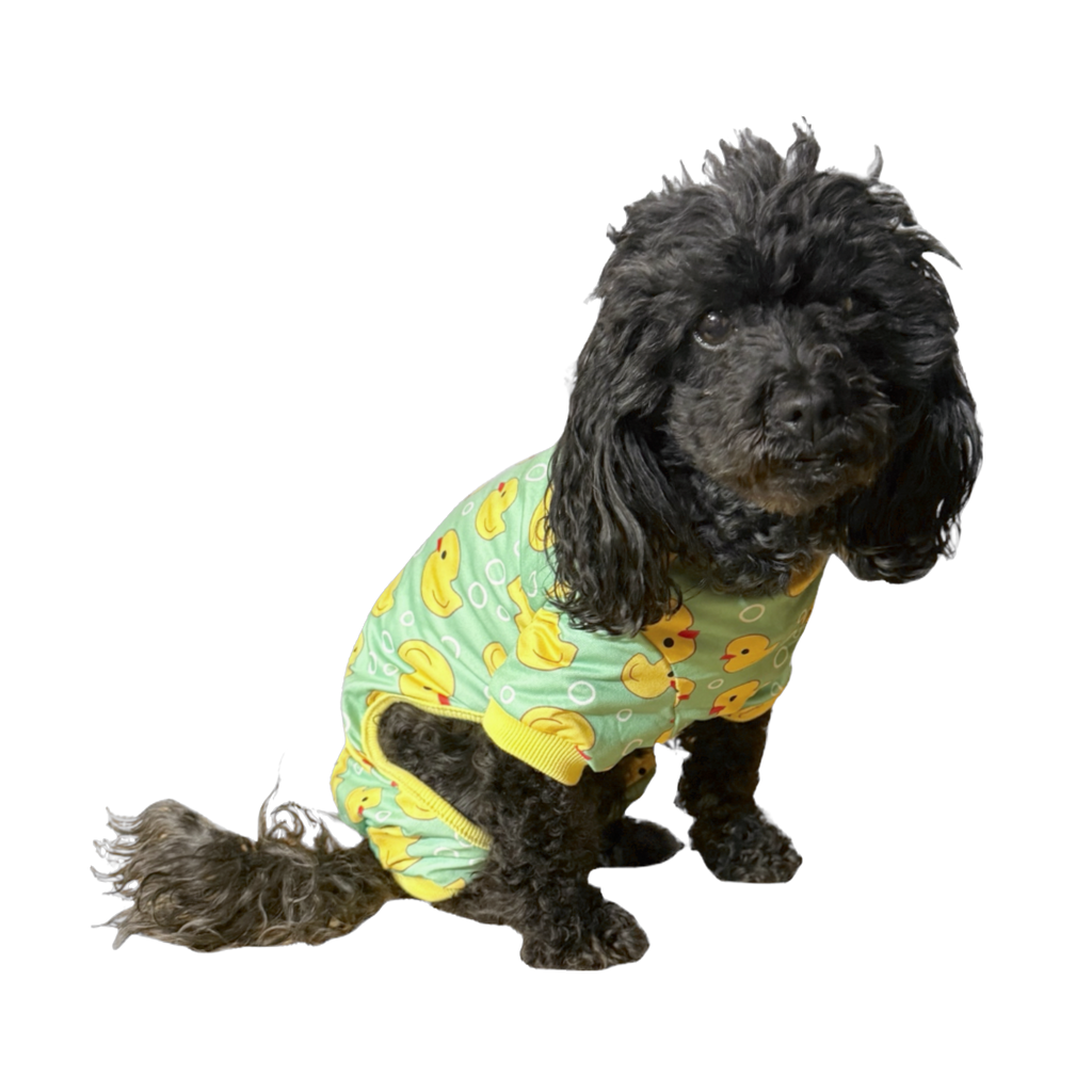 Pet Pajamas