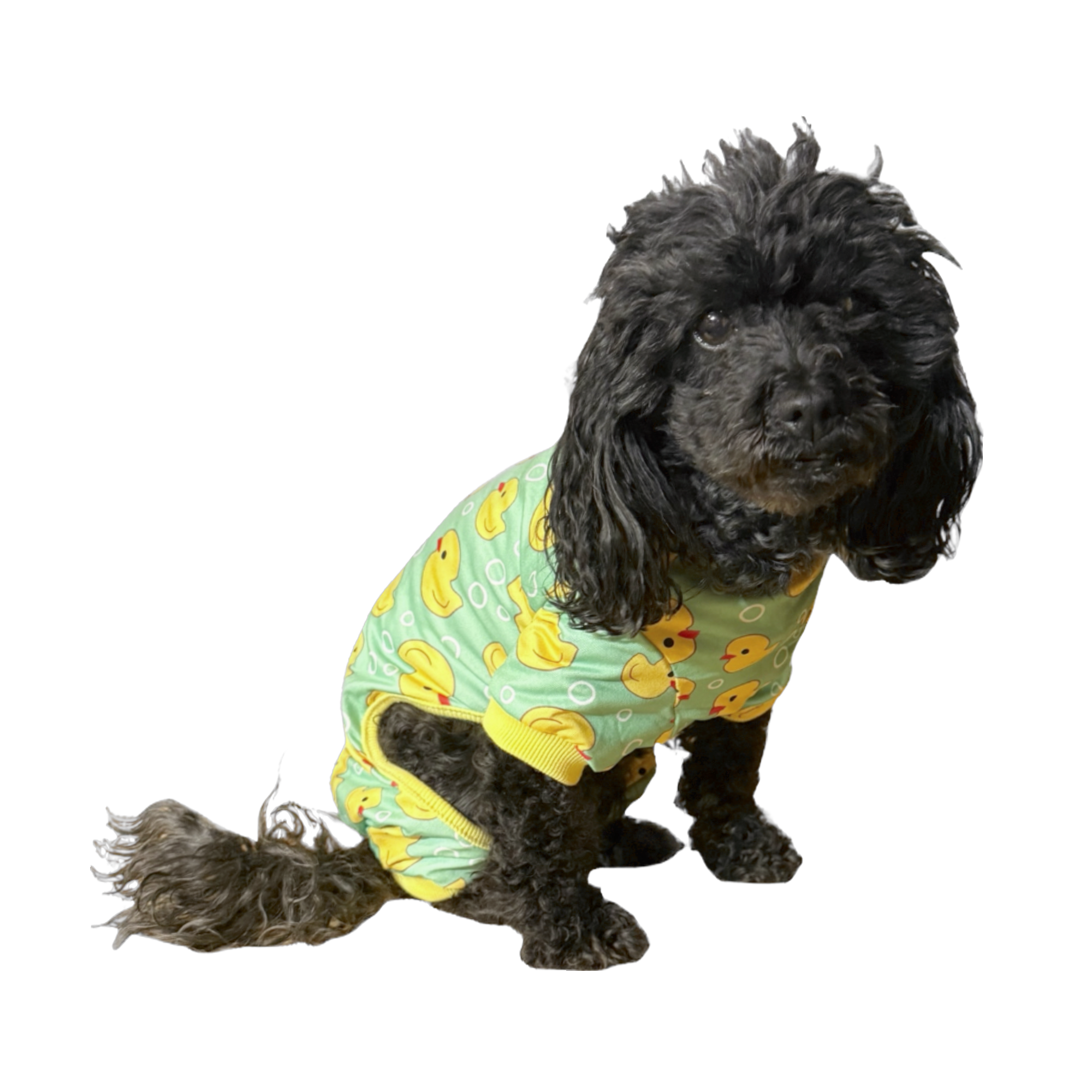 Pet Pajamas
