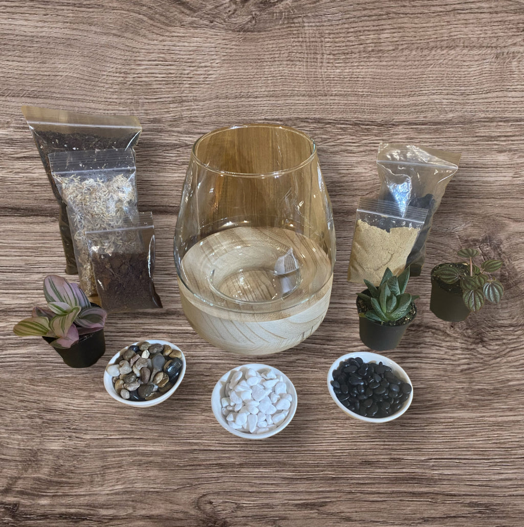 DIY Terrarium Kit (Medium)