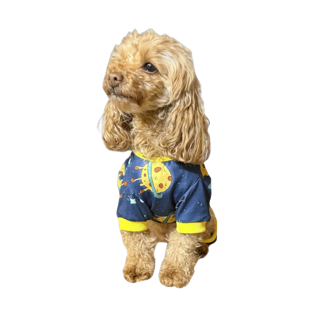 Pet Pajamas