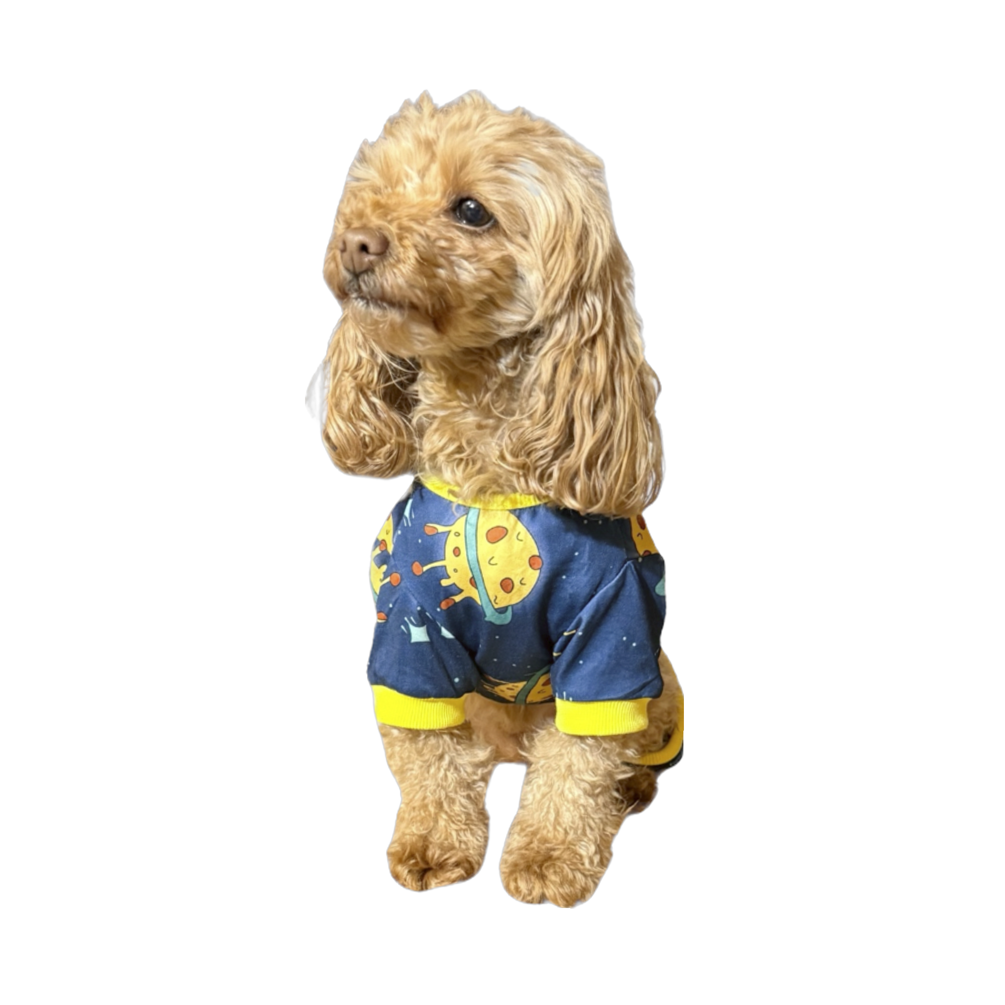 Pet Pajamas