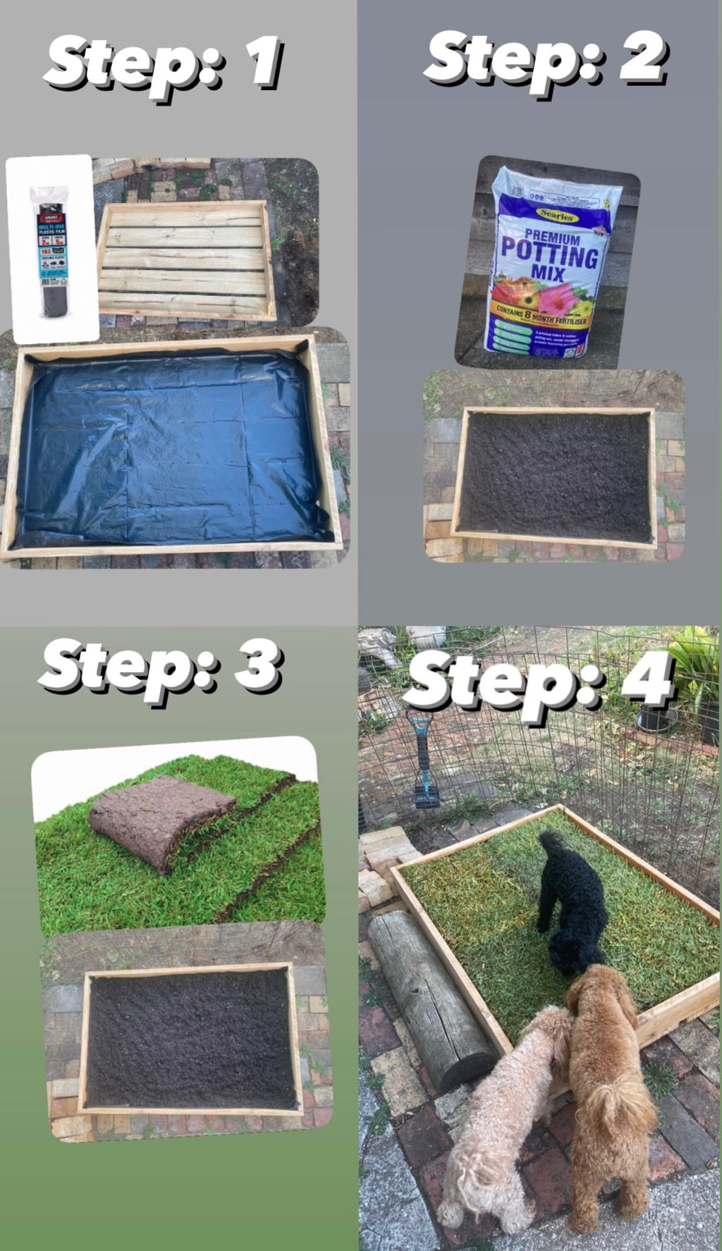Potty Box (Large)