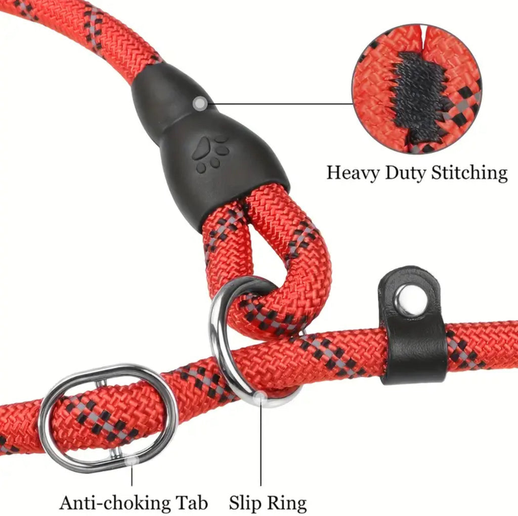 Slip Lead & Collar Combo