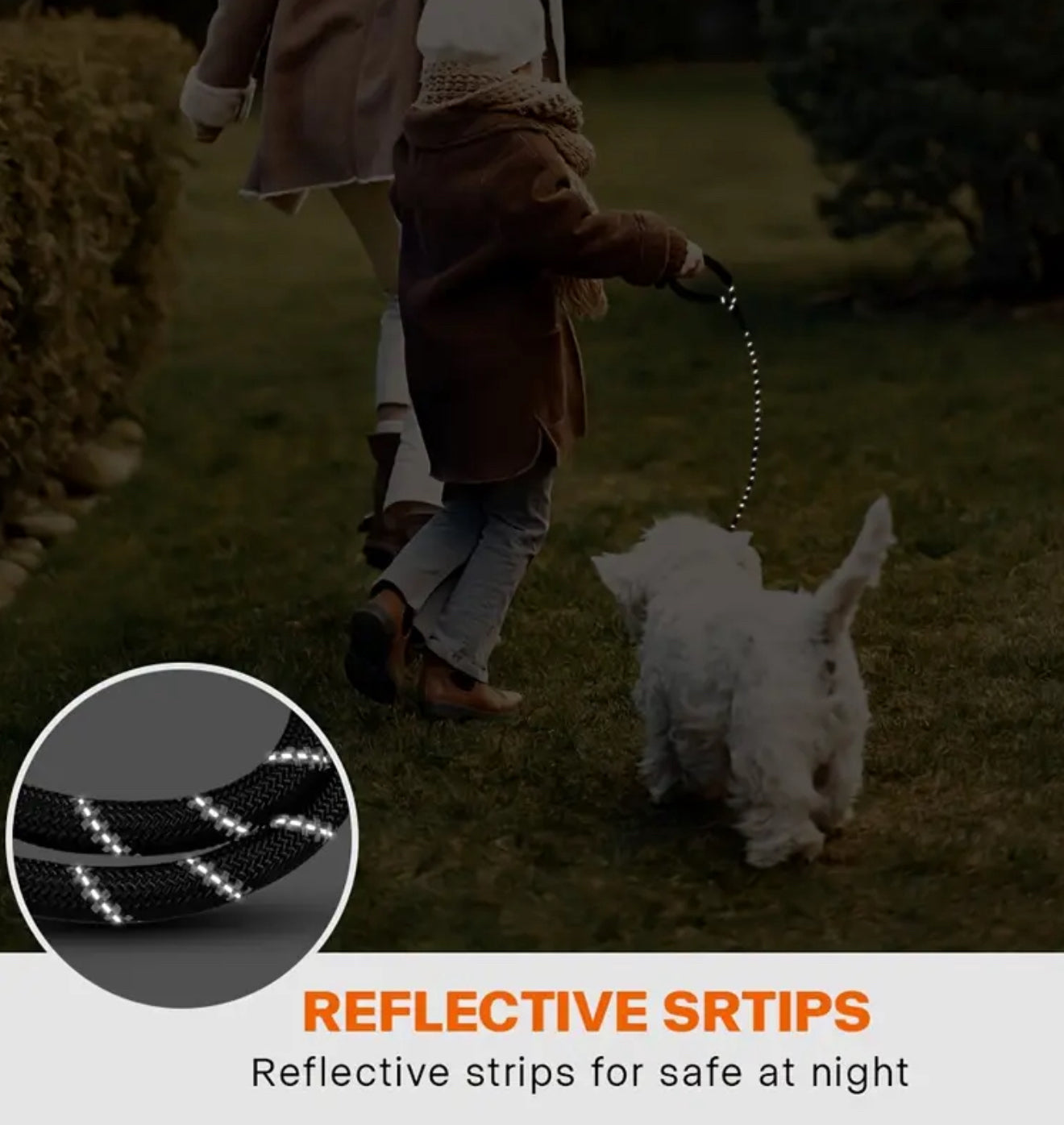 Reflective Pooch Lead